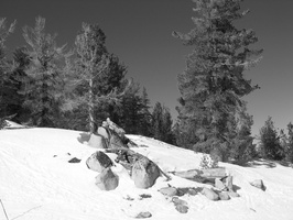 2006 02-Lake Tahoe BW Scenery 4